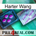 Hard Wang 37